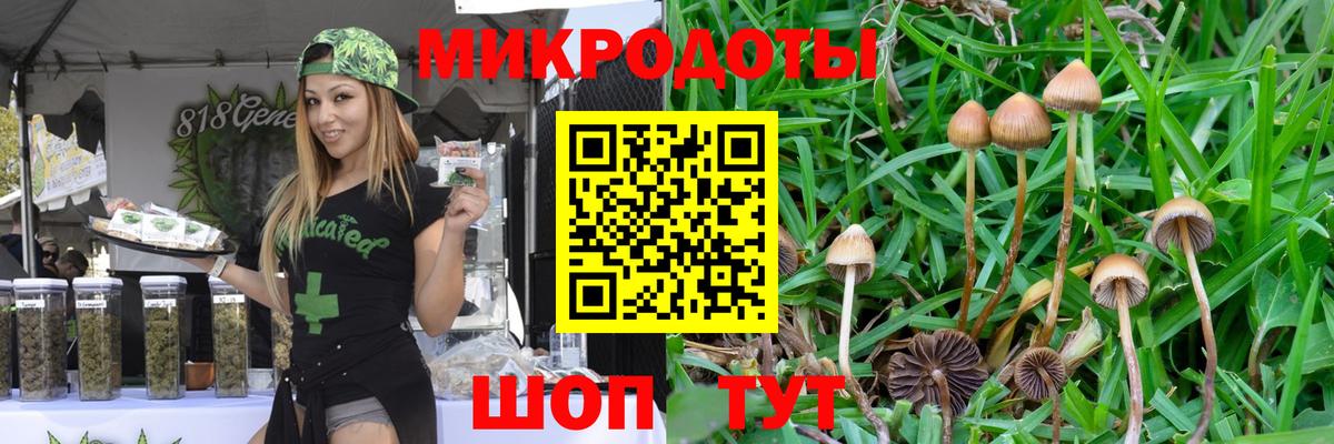 Псилоцибиновые грибы GOLDEN TEACHER  Вход с VPN  Псилоцибиновые грибы ЛСД  Балашиха 